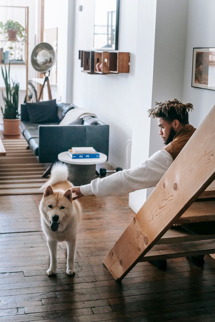 services-03 Side view of young black male with Afro hairstyle caressing cute Akita dog with tongue out while sitting on wooden stairs in cozy living room