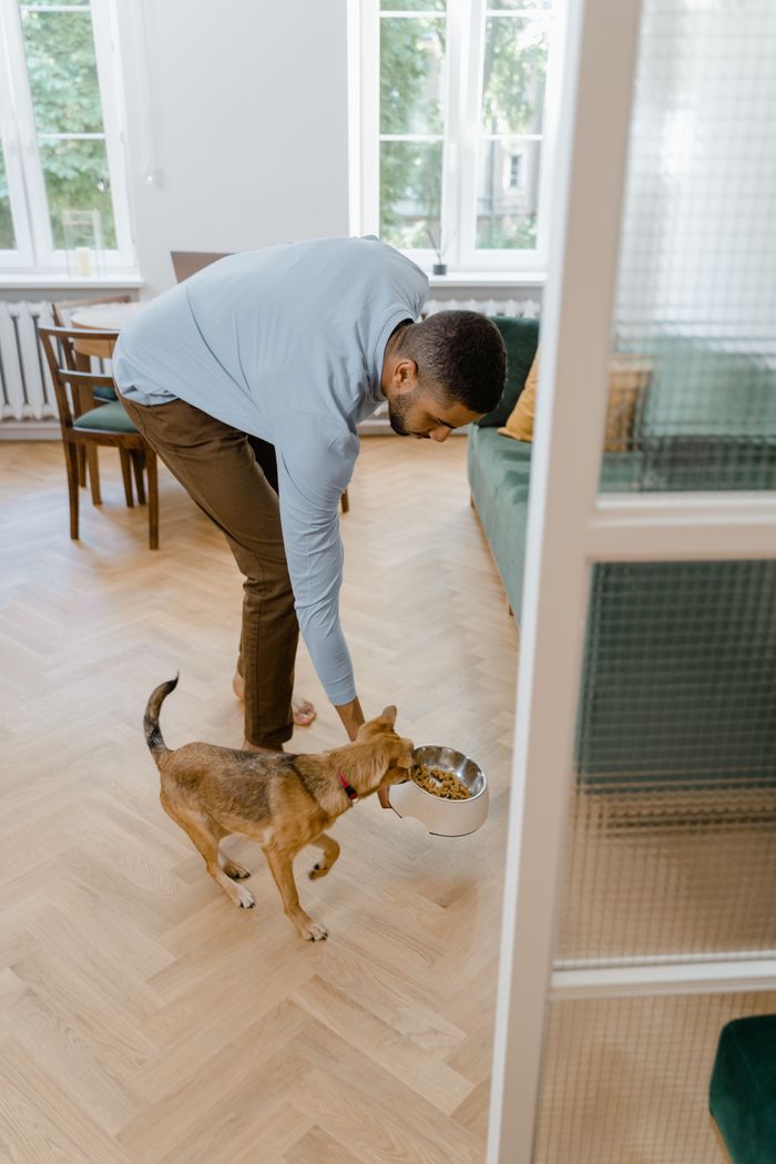 services-bg A man feeding his dog in a bright and cozy living room with natural light.